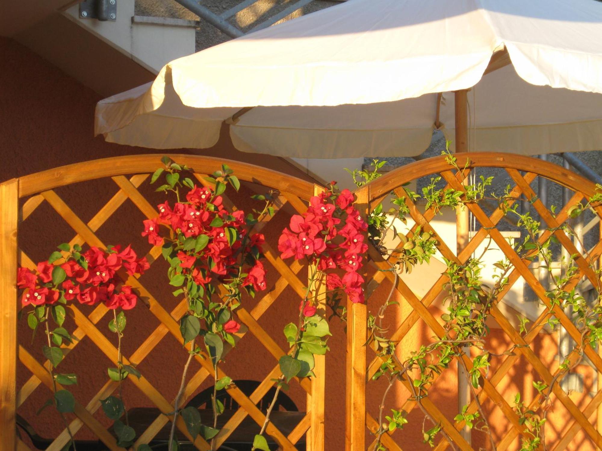 A Due Passi Dal Mare B&B Numana Exteriér fotografie