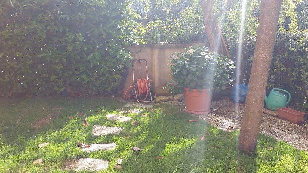 A Due Passi Dal Mare B&B Numana Exteriér fotografie